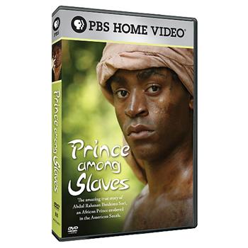 DVD Prince Among Slaves